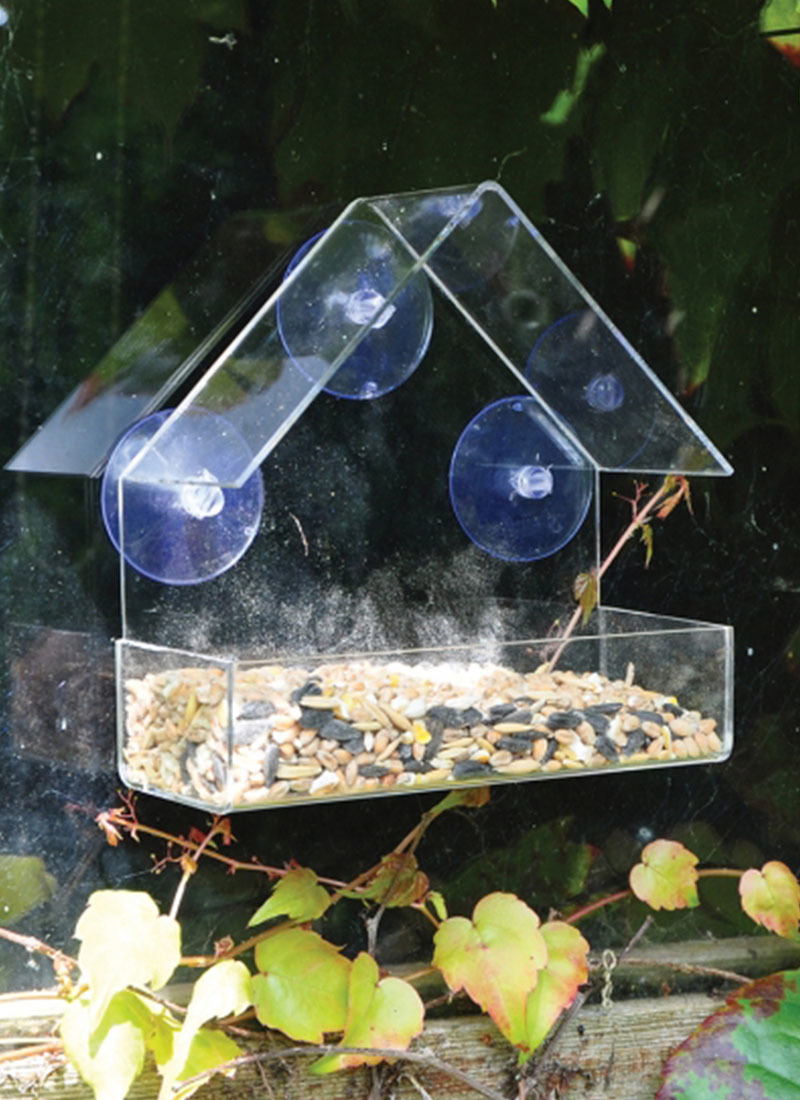 Window Bird Feeder