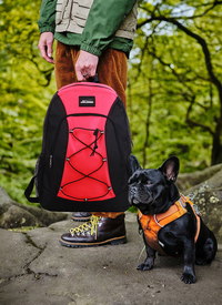 Black and Red Challenger Backpack